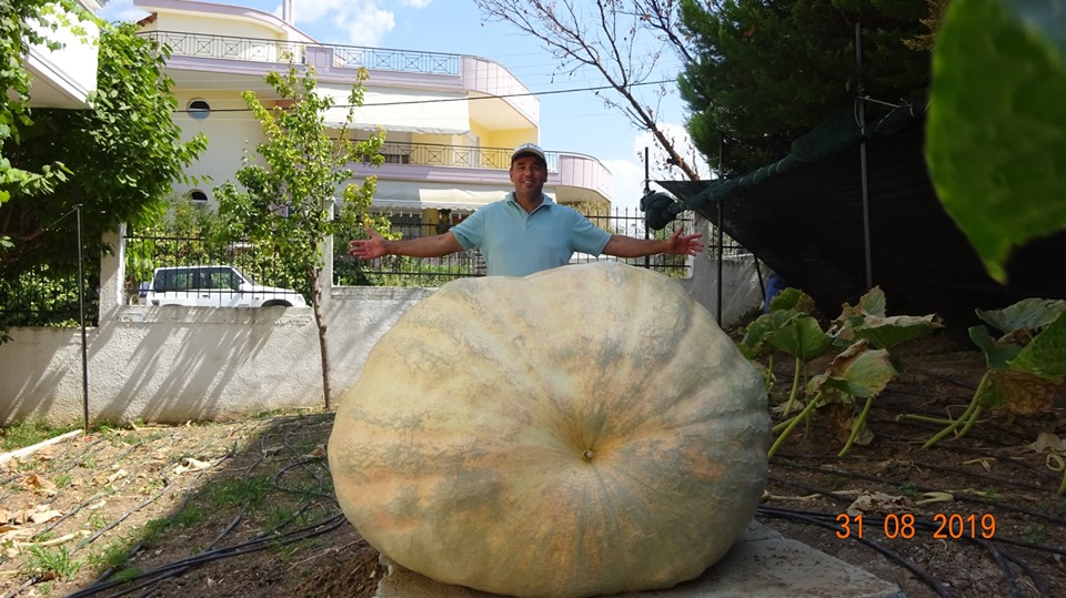 Μια κολοκύθα γίγας… 658 κιλών σε κήπο της Νέας Μηχανιώνας