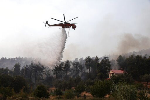 Φωτιά σε δασική έκταση στην Εύβοια