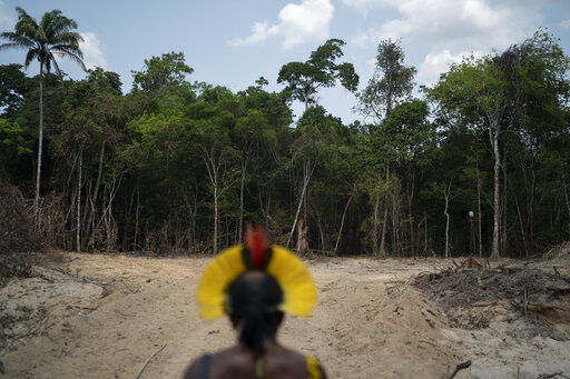 Επτά χώρες υπέγραψαν σύμφωνο προστασίας του μεγαλύτερου τροπικού δάσους