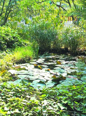 Ενας μοναδικός Βοτανικός Κήπος ανοίγει τις πύλες του