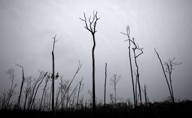 Η αποψίλωση της Αμαζονίας σχεδόν διπλασιάστηκε σε έναν χρόνο