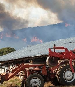 Μεγάλη φωτιά στα Λεύκαρα Κοζάνης