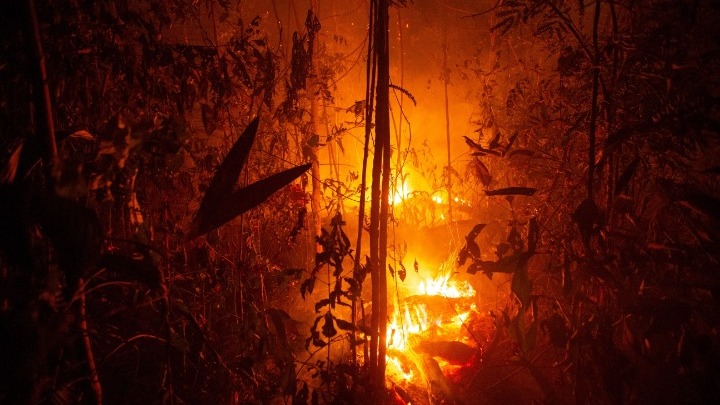 Αμαζόνιος: Συνεχίζουν να αυξάνονται τα μέτωπα της πυρκαγιάς