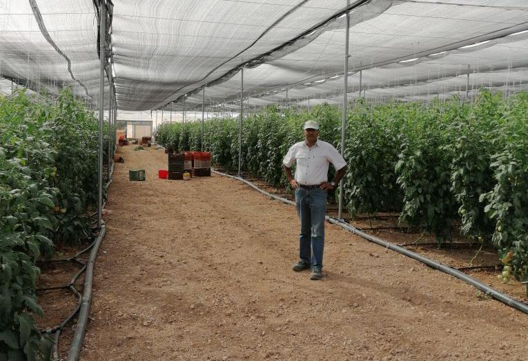 Ηρθε στην Ελλάδα με 200 ευρώ στην τσέπη και σήμερα καλλιεργεί πάνω από 1.000 στρέμματα