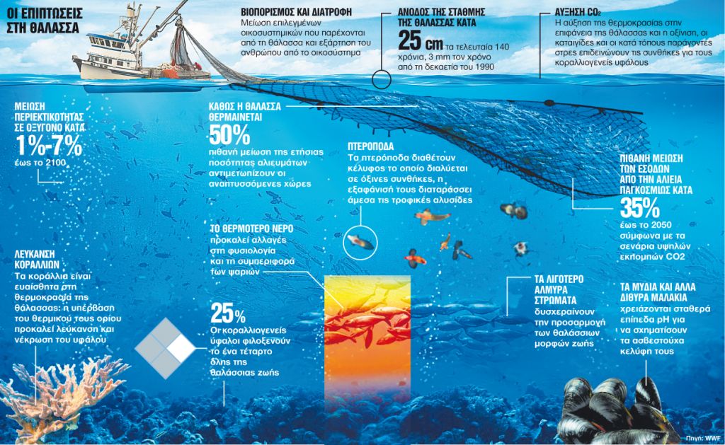 Η κλιματική αλλαγή «τρώει» τα ψάρια