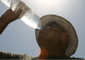 Μπέργκερ και πλαστικό πλήττουν το περιβάλλον