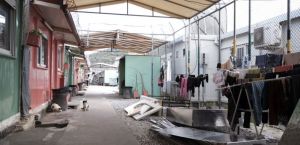 Επικεφαλής Ύπατης Αρμοστείας ΟΗΕ: 7.000 πρόσφυγες μπορούν να μεταφερθούν στην ενδοχώρα