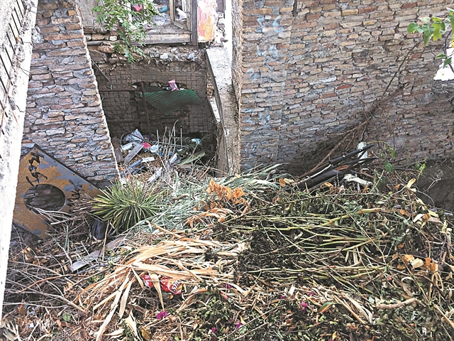 Εφιάλτης στη σκιά της Ακρόπολης