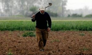 ΟΠΕΚΕΠΕ : Δείτε πότε θα καταβληθούν τα χρήματα στους δικαιούχους