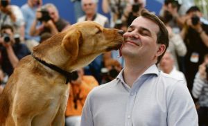 Σκύλοι που θεραπεύουν : Άνευ όρων αγάπη και φροντίδα σε όσους έχουν ανάγκη