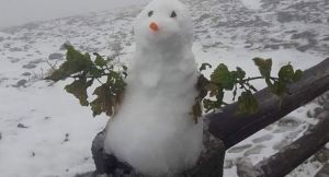 Όλυμπος: Στα 2.697 μέτρα ο πρώτος χιονάνθρωπος της σεζόν