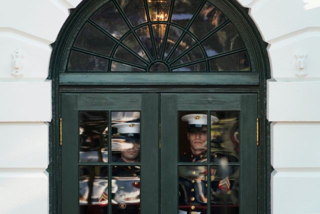 Ποντίκι… βούτηξε πάνω σε δημοσιογράφο στον Λευκό Οίκο