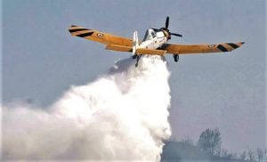 Φωτιά καίει δασική έκταση στους Γαργαλιάνους