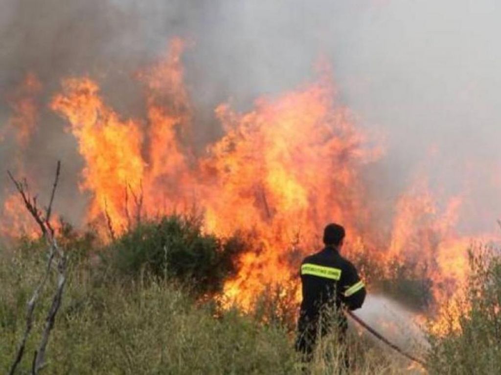 Φωτιά καίει χαμηλή βλάστηση στην Αργολίδα