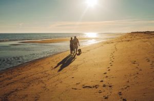 Σύμμαχο και τα άστρα θα έχουμε το τριήμερο της 28ης Οκτωβρίου