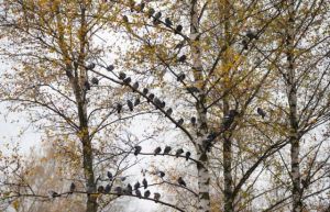 Χαμηλό… βαρομετρικό φέρνει ο ανάδρομος Ερμής στον Σκορπιό