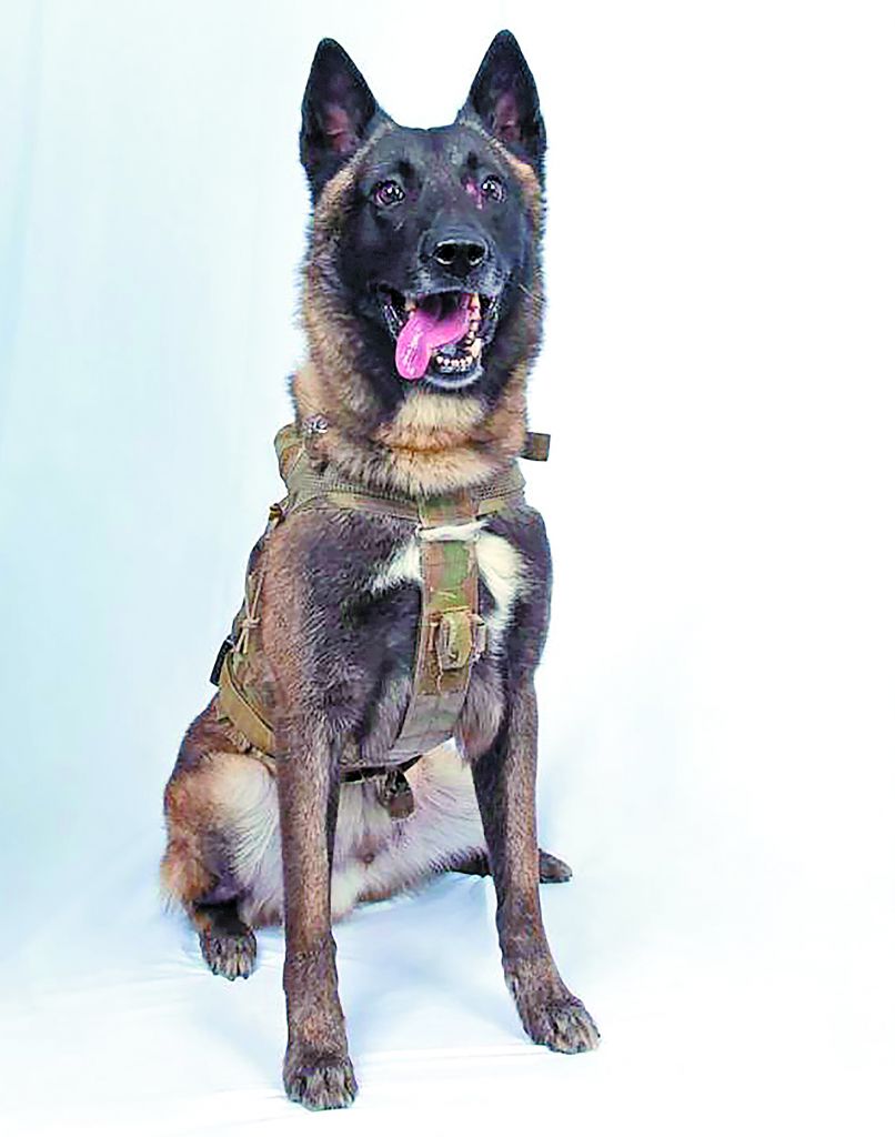 «Νεκρός και ο διάδοχος του Αλ Μπαγκντάντι»