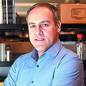 Οι νευροεκφυλιστικές ασθένειες στο μικροσκόπιο