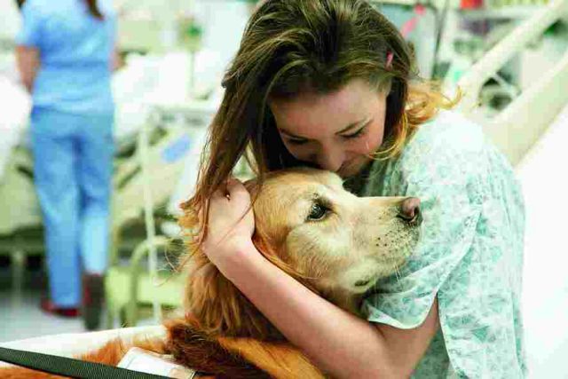 Ο σκύλος προστατεύει… την καρδιά και αυξάνει το προσδόκιμο ζωής | tanea.gr