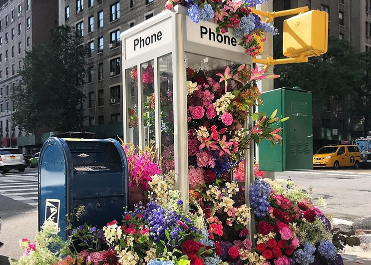 Flower Flash: Αναζητώντας την ομορφιά στα πιο απίθανα σημεία της πόλης