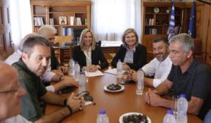 Γεννηματά : Να μην γίνει «Δούρειος Ίππος» το Υπερταμείο