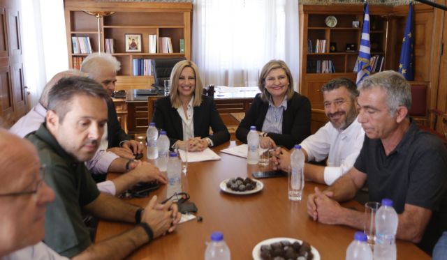 Γεννηματά : Να μην γίνει «Δούρειος Ίππος» το Υπερταμείο