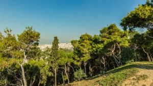 Στο έλεος διακινητών και τοξικομανών ο λόφος του Στρέφη