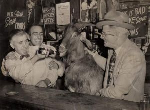 «Η κατάρα του τράγου»: Ο θρύλος με τον Έλληνα που καταράστηκε ομάδα στο Σικάγο