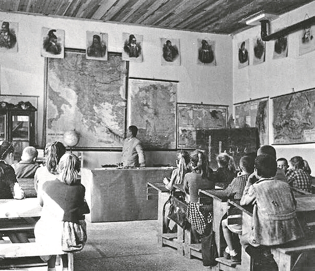 Από το δελφίνι στον κάβουρα