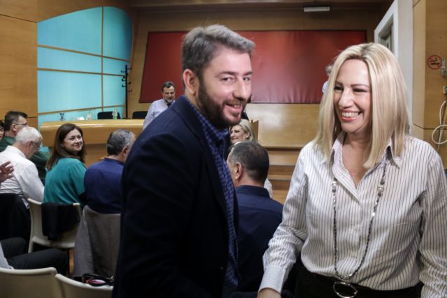 Πυρά από Ανδρουλάκη και Ξεκαλάκη κατά Γεννηματά για το ΠΑΣΟΚ