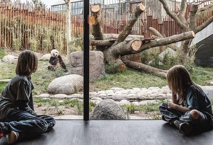 Ένα πρωτότυπο αρχιτεκτονικό σχέδιο για το πιο αξιολάτρευτο σπίτι