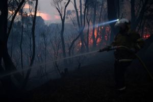 Σε πύρινο κλοιό η Ανατολική Αυστραλία – Φόβοι για εκατοντάδες νεκρά κοάλα