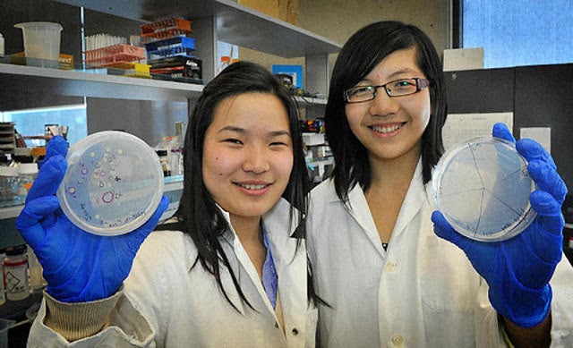 Φοιτήτριες δημιούργησαν βακτήριο που τρέφεται με πλαστικά