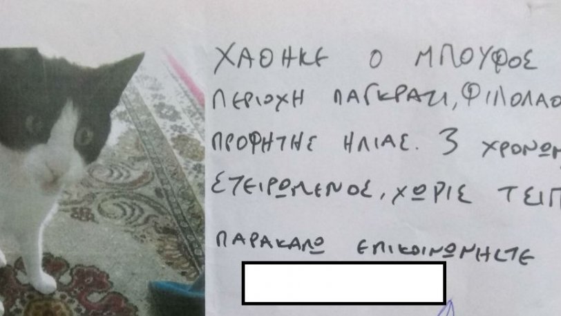 Η φοβερή απάντηση για τον χαμένο γάτο στο Παγκράτι
