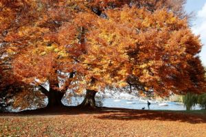 Με Σελήνη στους Διδύμους στα ύψη η ανάγκη μας για επικοινωνία