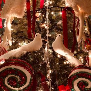 Τις γιορτινές ημέρες που έρχονται μας θυμίζει η Δούκισσα Νομικού