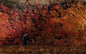 Τι φέρνει ο Άρης στον αποφασιστικό και παθιασμένο Σκορπιό