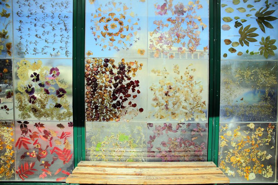 Στάση τραμ μεταμορφώθηκε σε μουσείο λουλουδιών