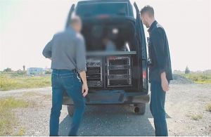 Θρίλερ διαρκείας με το κατασκοπευτικό βαν