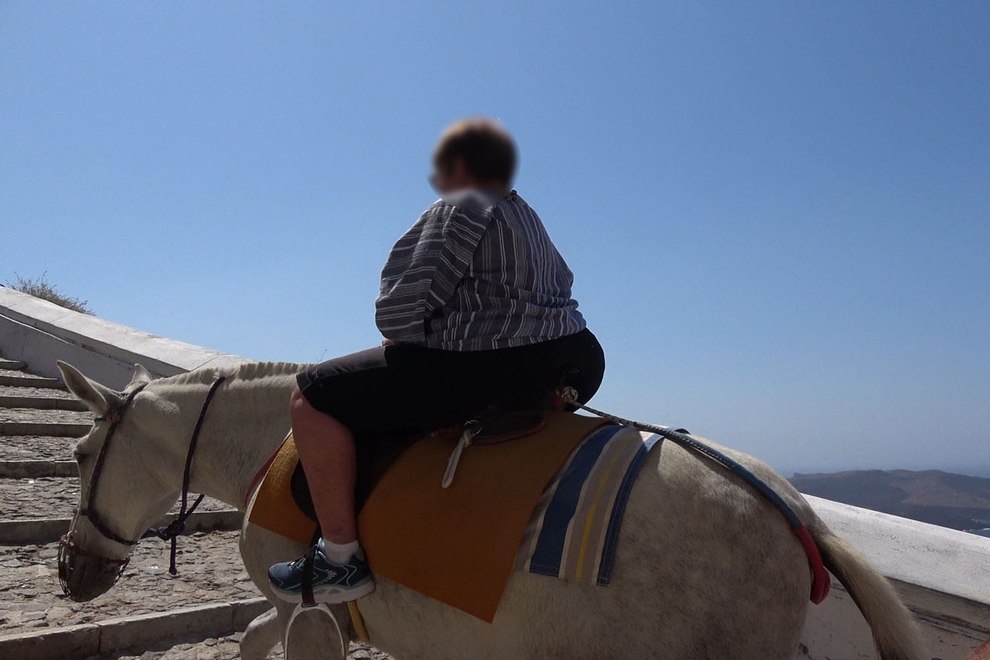 PETA: Στη Σαντορίνη βασανίζουν ακόμη γαϊδουράκια