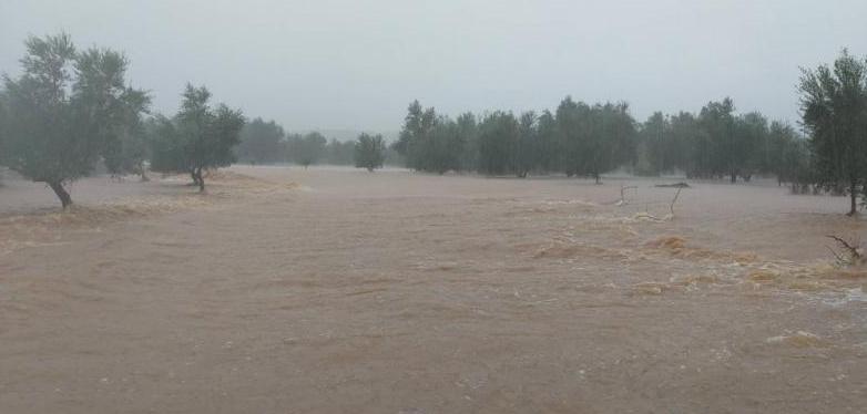 Καιρός: Πλημμύρισε ο μεσσηνιακός κάμπος