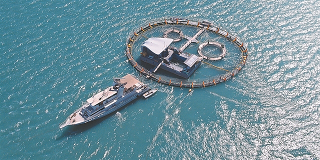 Το κυνήγι της «κοκαΐνης της θάλασσας», σε παραγωγή του Λεονάρντο ντι Κάπριο