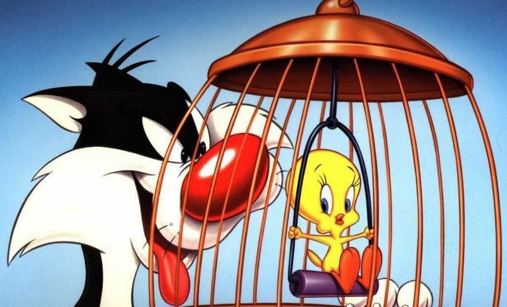 Τουίτι : Η απίθανη ιστορία του αιώνιου στόχου του γάτου Σιλβέστερ