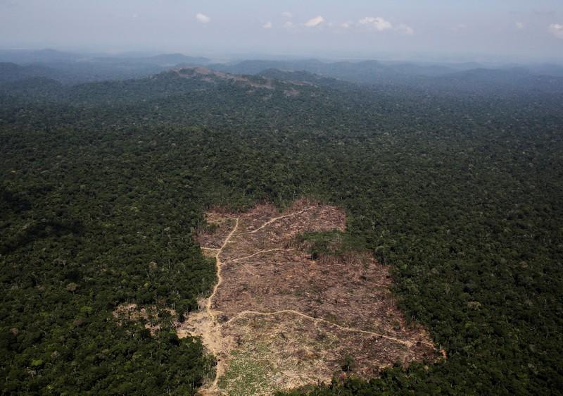 Μικρότερο κατά 10.000 τ.χ. το τροπικό δάσος του Αμαζονίου από πέρυσι