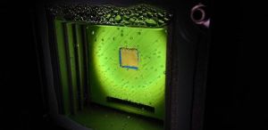 Παρασκευάζοντας καύσιμα από τα…. φύλλα!