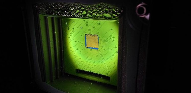 Παρασκευάζοντας καύσιμα από τα…. φύλλα!