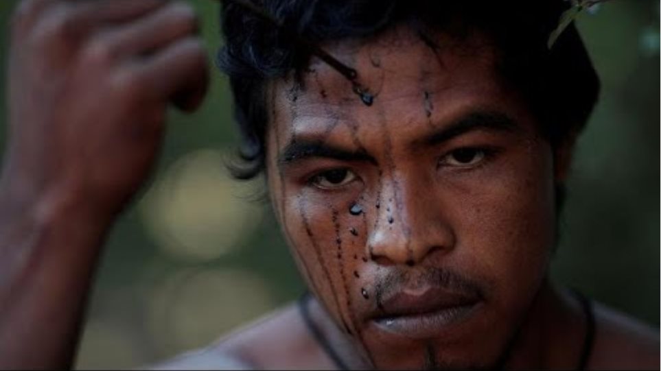 Αμαζόνιος: Υλοτόμοι σκότωσαν έναν από τους «Φύλακες του Δάσους»
