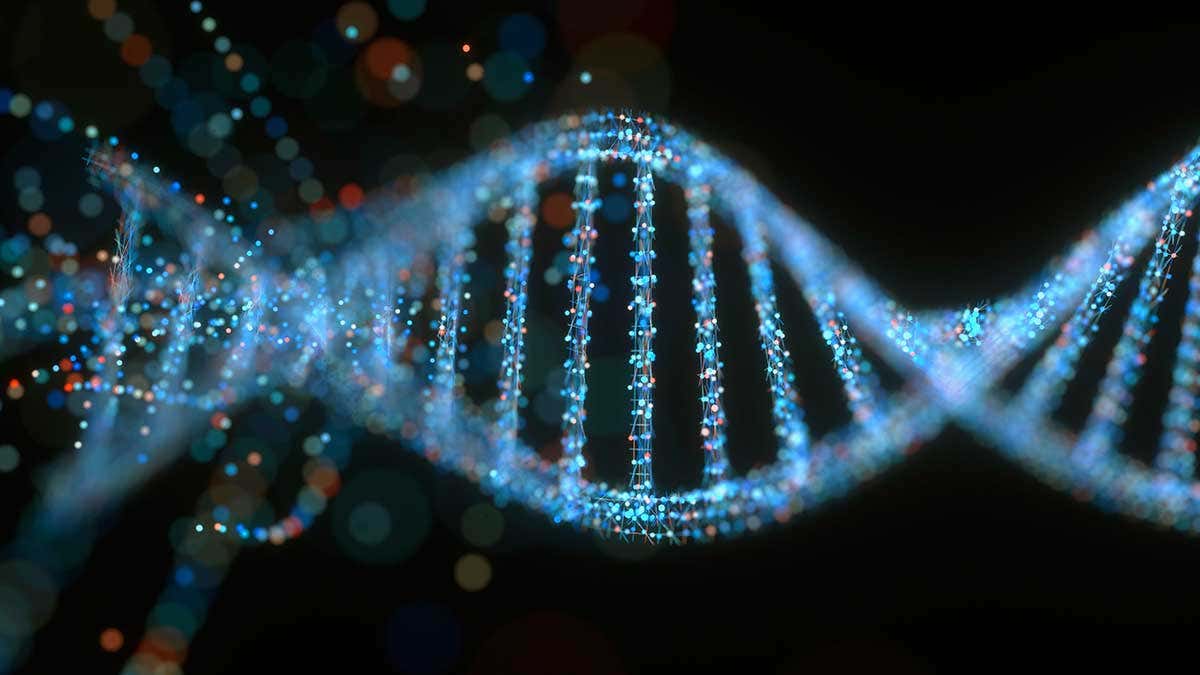 Μια απίστευτη ιστορία: Ποιος «φακελώνει» το DNA μας - ΤΑ ΝΕΑ