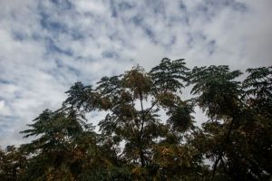 Καιρός : Υποχωρεί σταδιακά ο «Γηρυόνης» – Που θα βρέξει