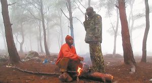 Φεστιβάλ «Moviement» στην Ταινιοθήκη